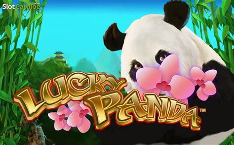 Lucky Panda 4 brabet